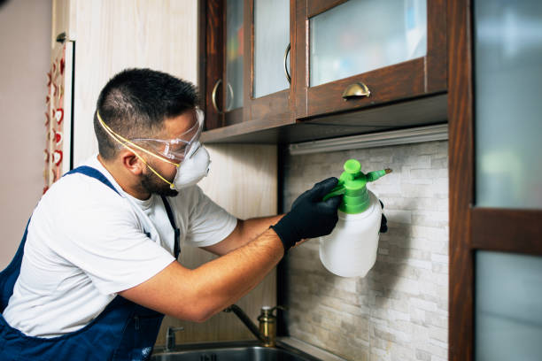 Best Pest Prevention Services  in Forest Hills, TN