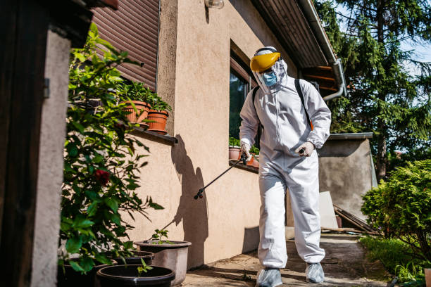 Best Wasp Removal Services  in Forest Hills, TN