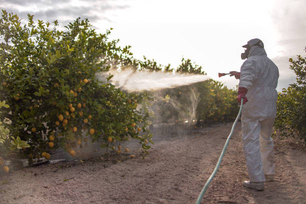 Best Pest Control Near Me in Forest Hills, TN