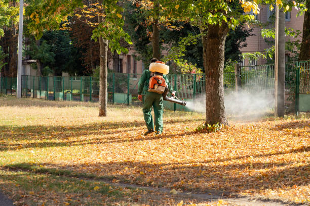 Best Bird Control  in Forest Hills, TN