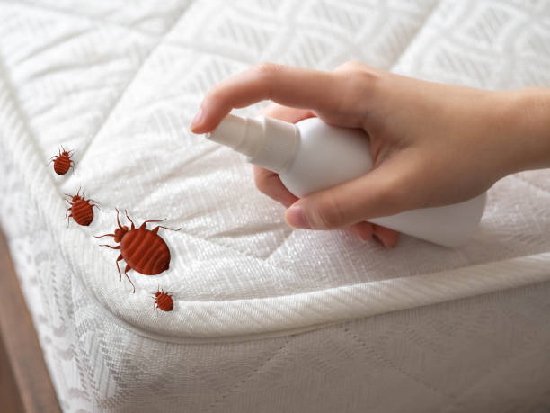 Best Pest Inspection Near Me  in Forest Hills, TN
