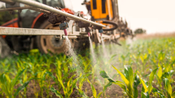 Best Commercial Pest Control Services  in Forest Hills, TN
