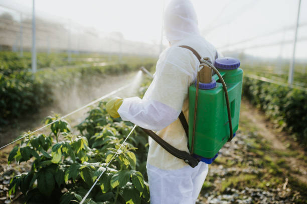 Best Rat Extermination Near Me  in Forest Hills, TN